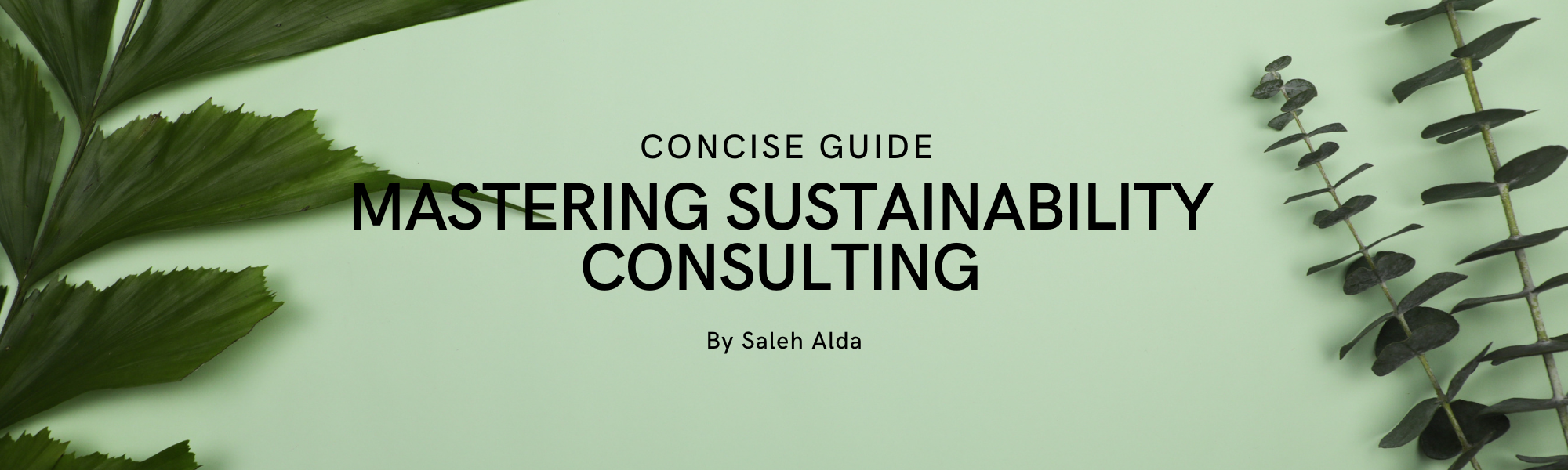 Mastering Sustainability Consulting: A Concise Guide To Essential ...